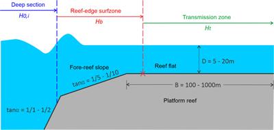 Effects of bottom roughness on wave transmission across a submerged reef